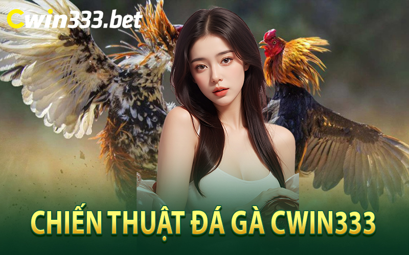 Chiến Thuật Đá Gà Cwin333 Bất Bại