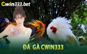 Đá Gà Cwin333